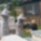 451063879_867253922102546_2622537023345172668_n_edited_edited.jpg