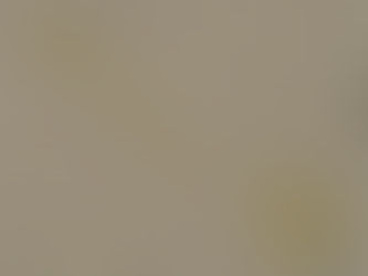 令和7年7月5日インスタ掲載画像の見方・考え方について