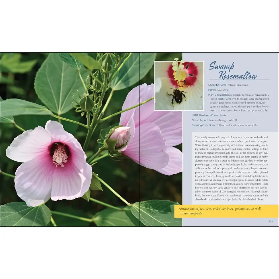 Miniature : Native Plant Gardening for Birds, Bees & Butterflies