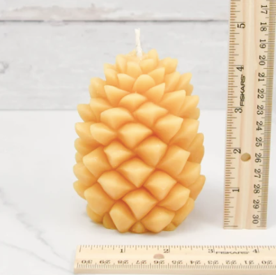 Thumbnail: 🇨🇦 Pinecone Beeswax Candle