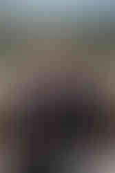 Groom and his three year old twin sons dressed in suits