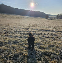Wunderschönes Südburgenland