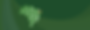 Importer · Wholesaler · Distributor (1)2.png