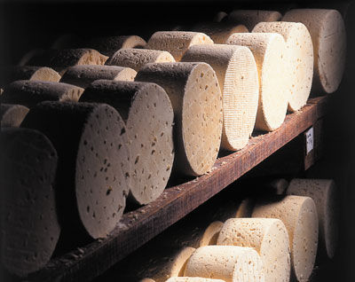 Fromage Bleu Auvergne