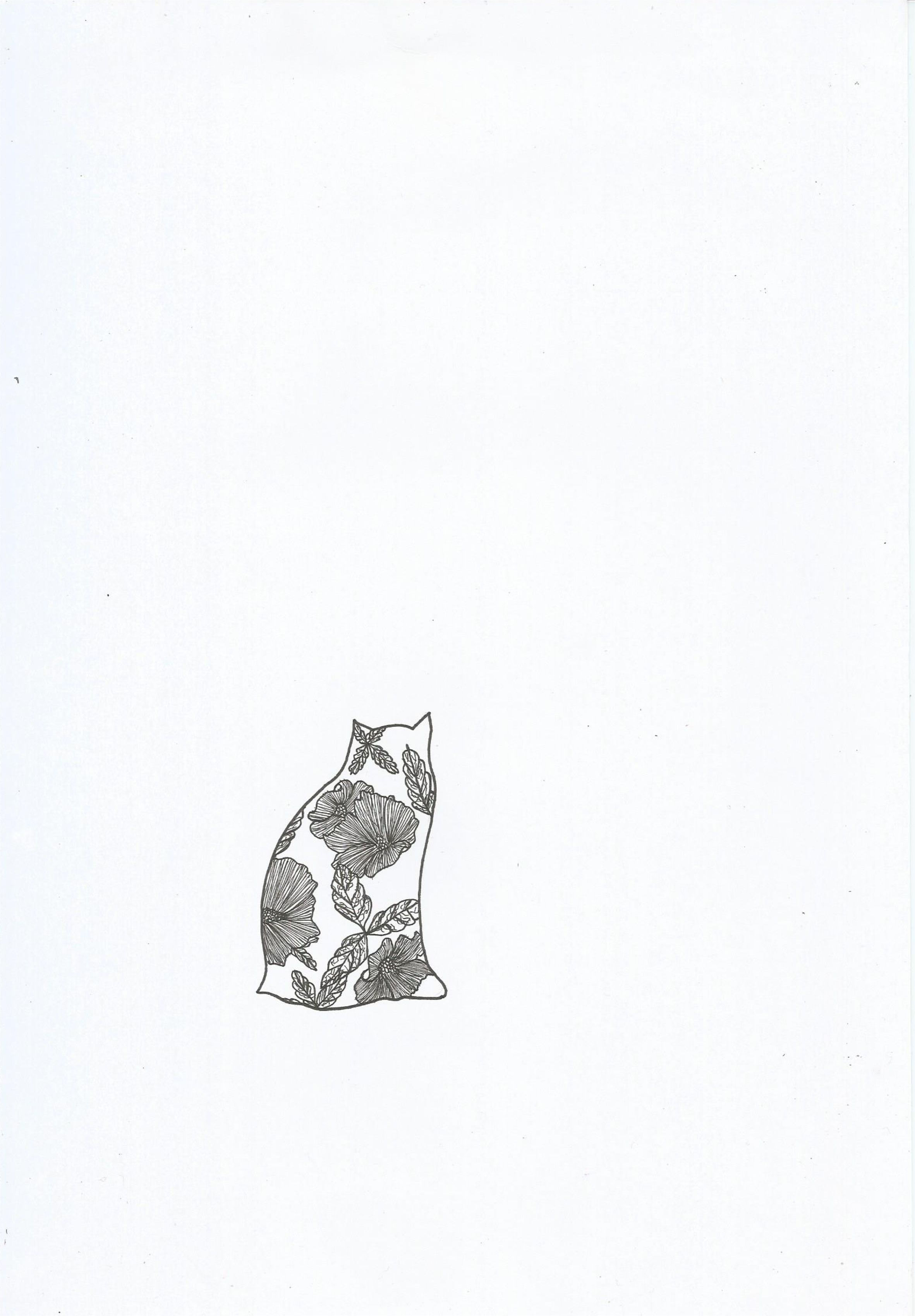 Gato