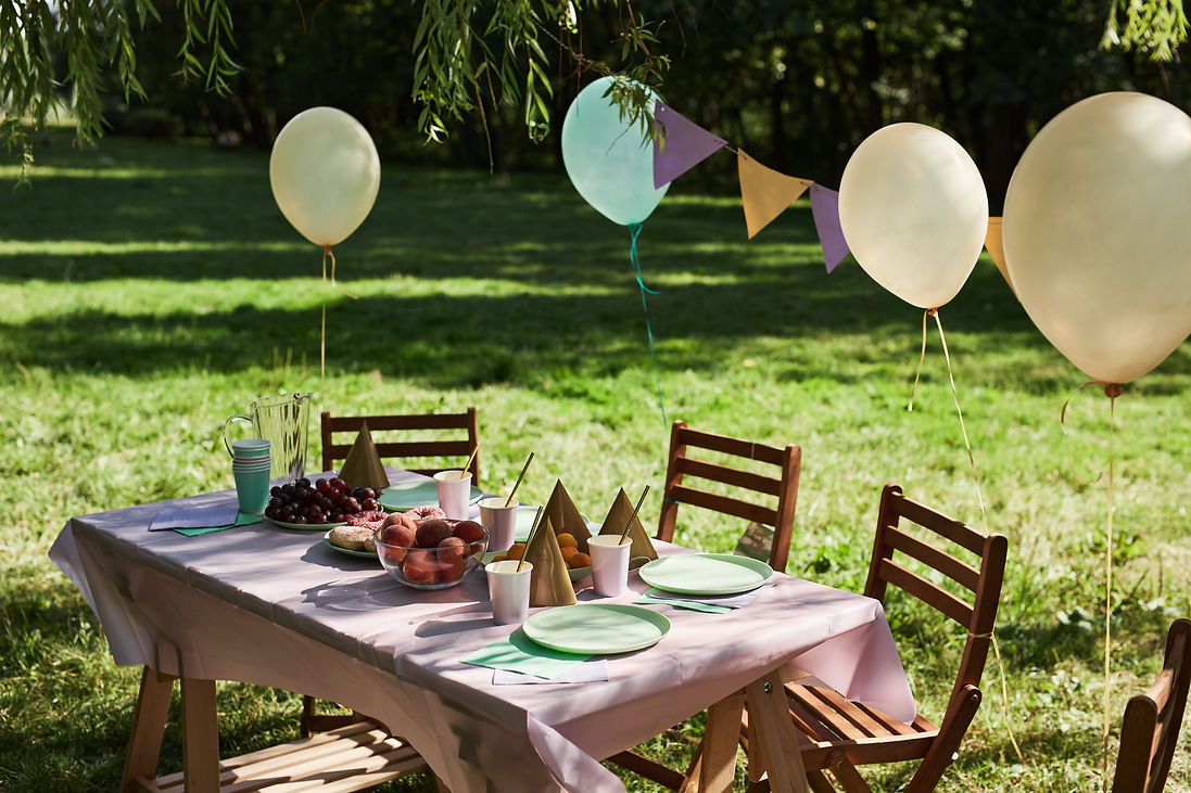 outdoor-picnic-table-decorated-for-a-celebration-2026-01-08-06-12-48-utc (1).jpg