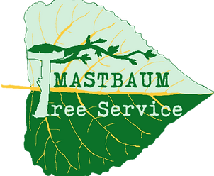 Leaf no back T logo.png