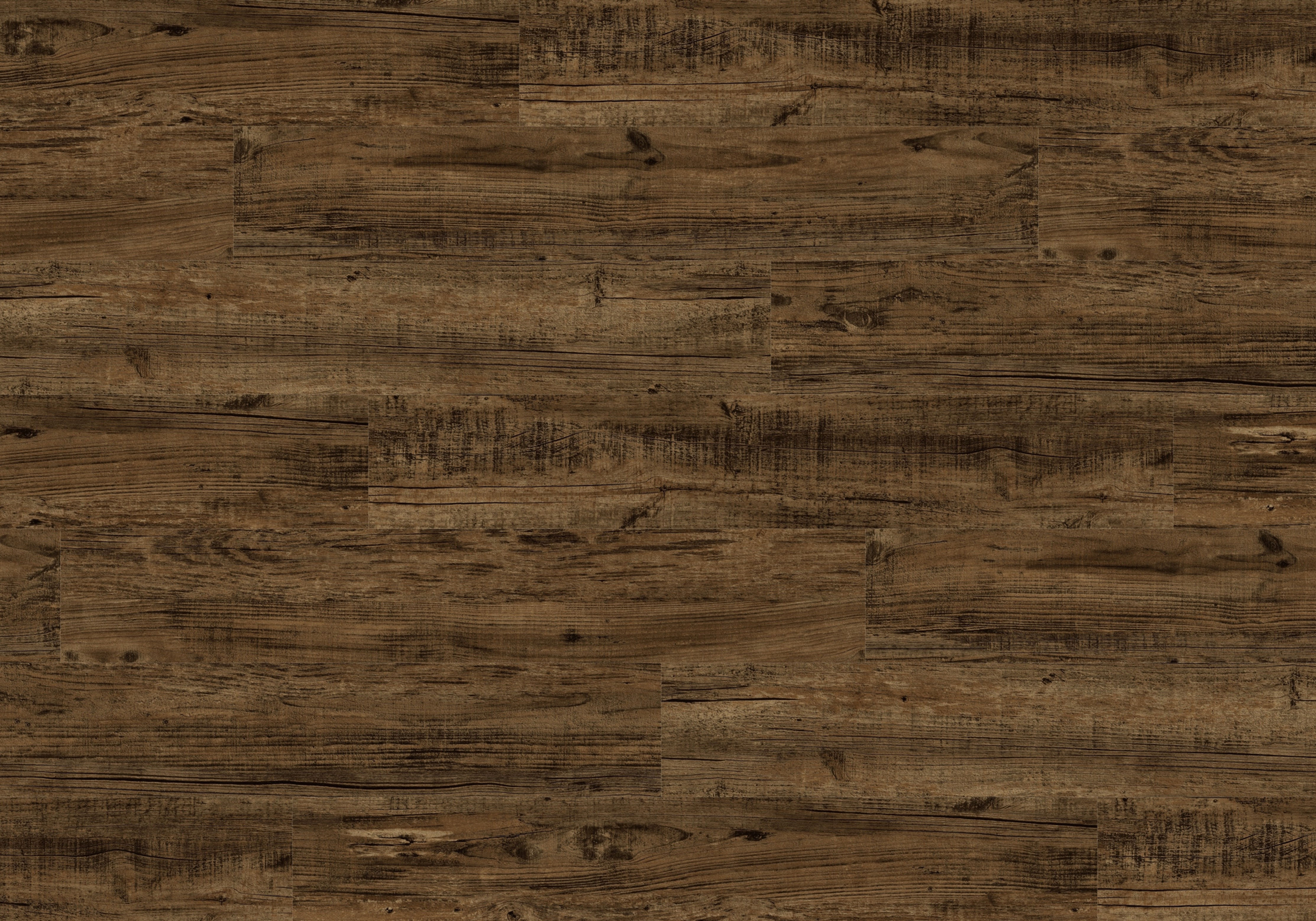 TYAS-208 Misty Mountain