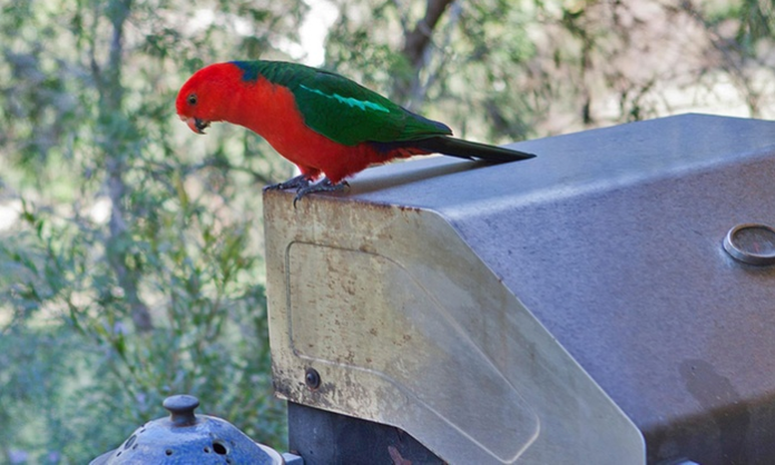 Thumbnail: Milton, Shoalhaven: 2, 3 or 5-Night Cottage Getaway with Breakfast Hamper and La