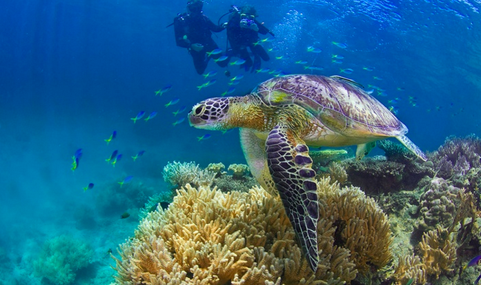 Thumbnail: 昆士兰,菲茨罗伊岛:5晚上两个+早餐,客房按摩