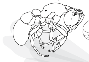 Back APR.png