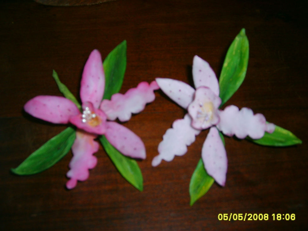 fotos 232