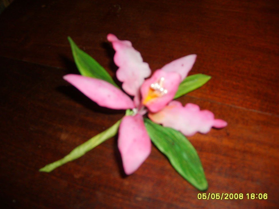 fotos 231