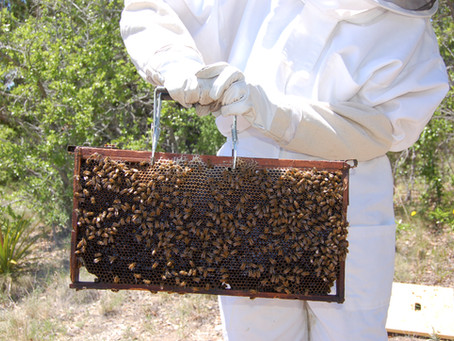 Bee-ing Helpful