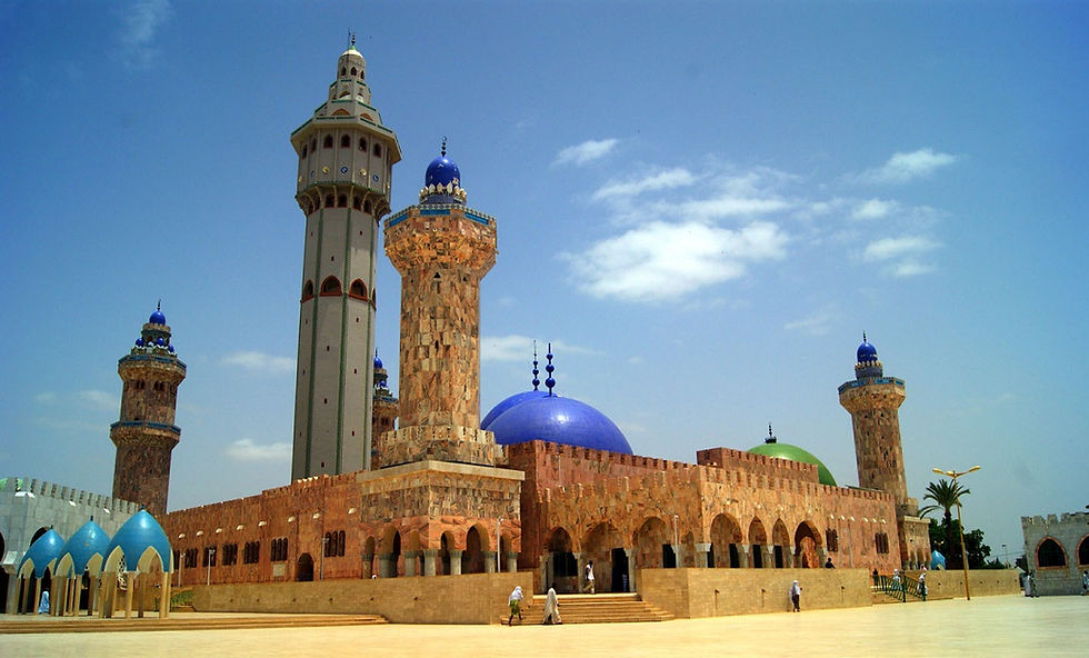 Miniatura: SENEGAL, La Puerta de África