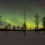 Miniatura: FINLANDIA,  Lobos y Auroras Boreales