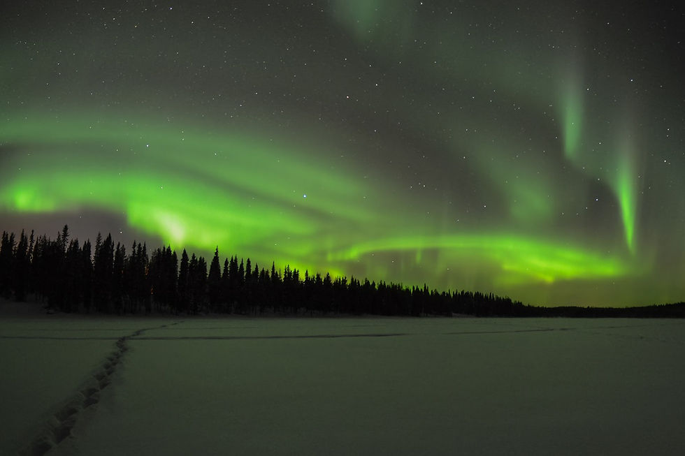 Miniatura: FINLANDIA,  Lobos y Auroras Boreales