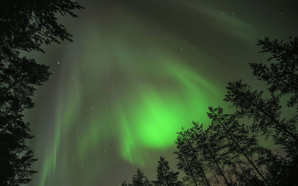 Miniatura: FINLANDIA,  Auroras boreales y aventuras árticas