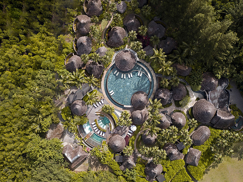 Miniatura: SEYCHELLES,  Constance Ephelia