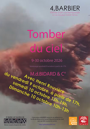 tomber du ciel _HR.jpeg