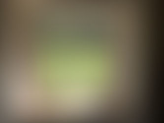 Sliding Sash Windows at Collingtons