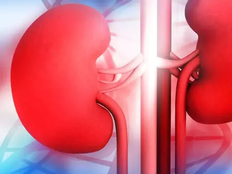How well are your kidneys?