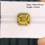 Thumbnail: 10.75CTS YELLOW ZIRCON
