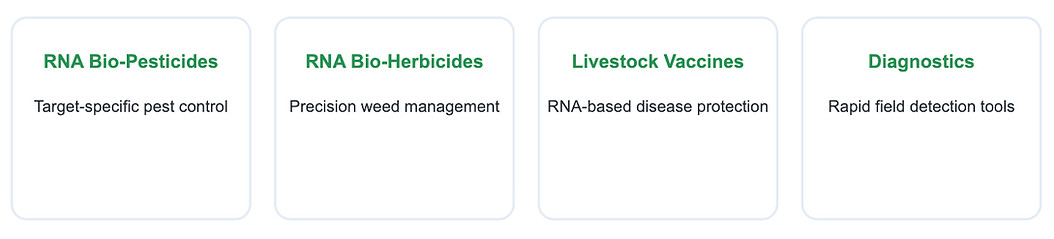Solutions Portfolio_edited.jpg