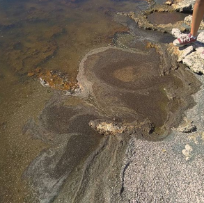 THE SALTON SEA
