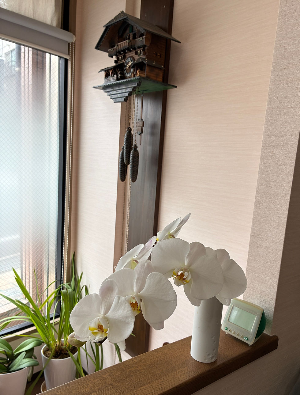 7/23 木 よく降ります