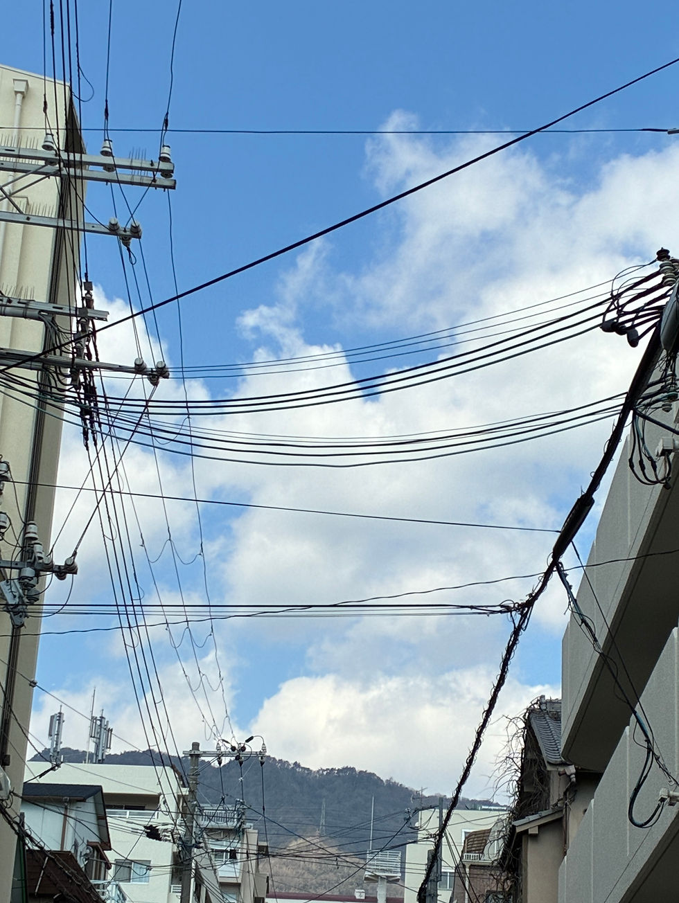 2/18 水 よく晴れました