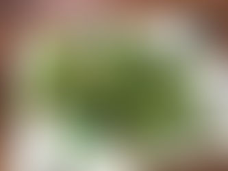 90年代洋楽女子