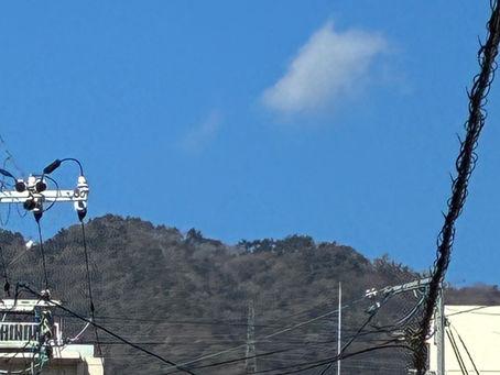 1/10 土　暖かかったですよね