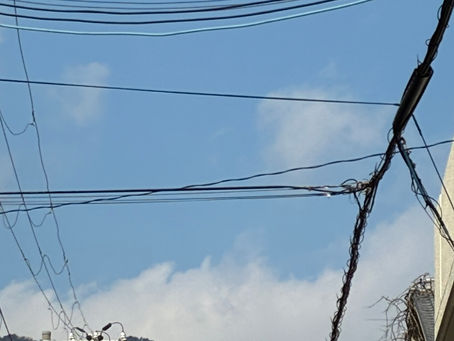1/24 土　うれしい一日