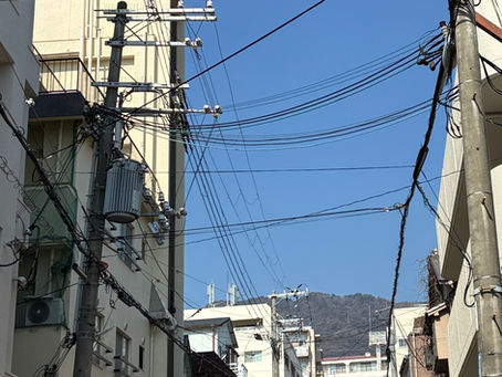 2/21 土　お昼間は暖かい日でした