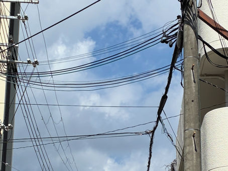 9/7 日　明日は定休日です