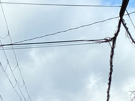 12/12 金 寒かったですよね