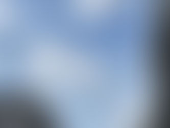 2/21 金　夕方から晴れて来ました