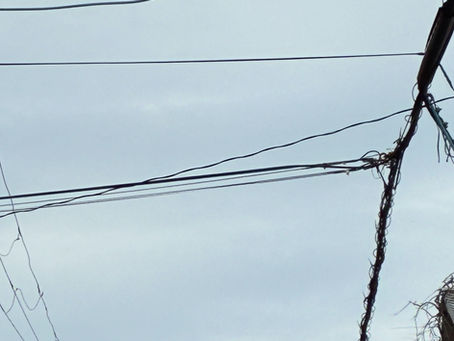 10/25 土　夕方からしっかり雨