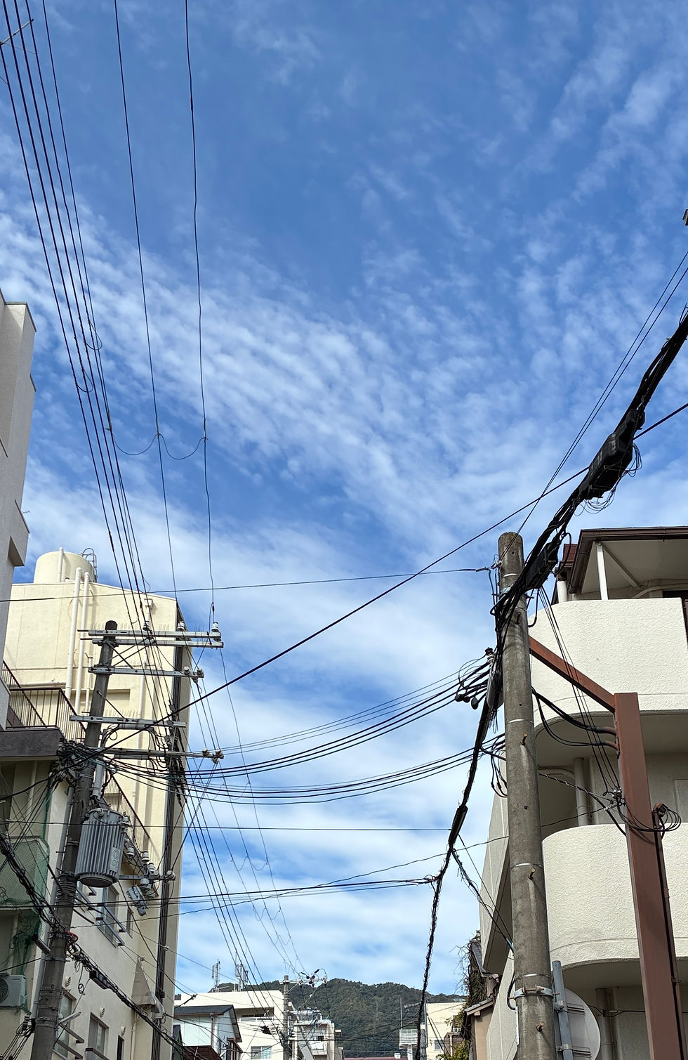 10/29 木 扉を開けていました