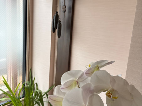 4/15 水　よく降りました