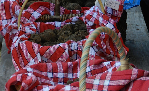 marche aux truffes à Lalbenque
