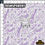 Thumbnail: Purple Rain Toon Elements Clear/Holographic Vinyl