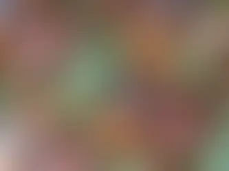 The Psychology of Shelf Appeal