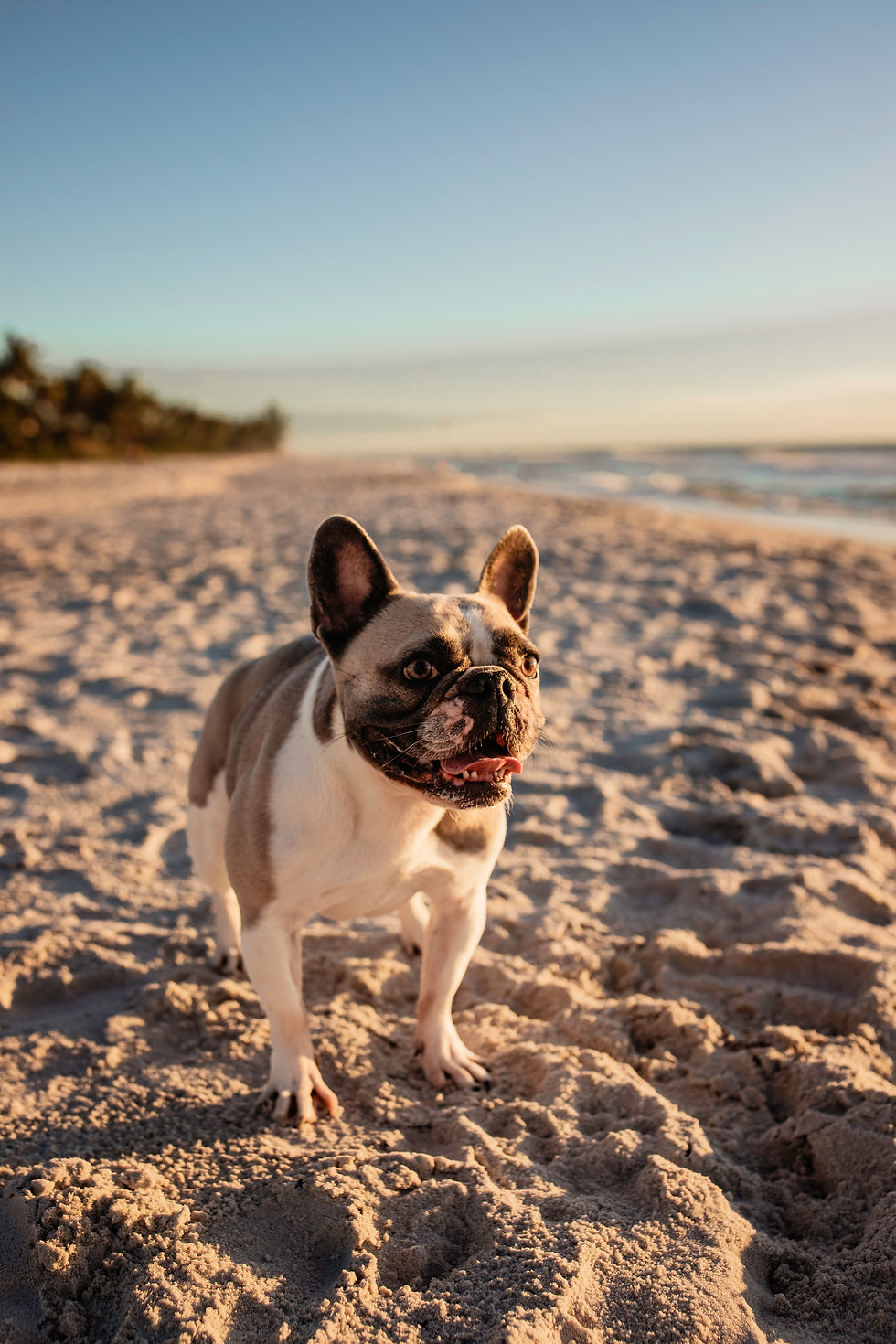 Living in SW Florida comes at the cost of hurricane preparedness