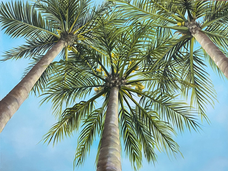 Painting of palm trees for a beach house by Myrtle Beach area artist Michelle Ricalde