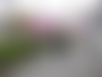 朝のウォーキング