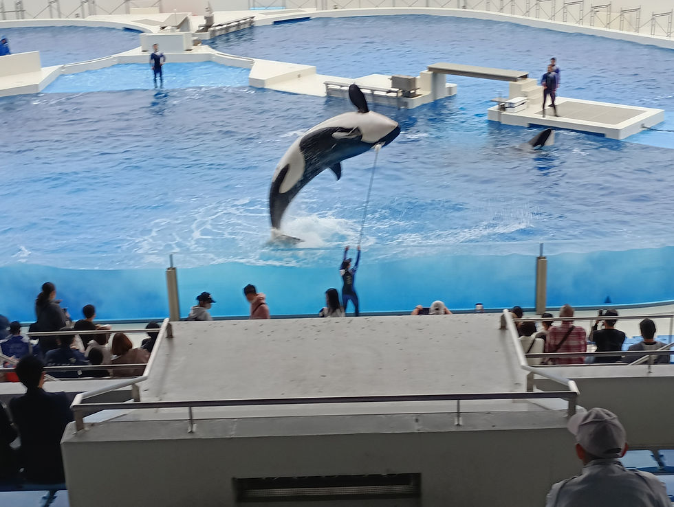 社会見学旅行(日帰り旅行)