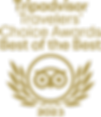 tripadvisor2023.png