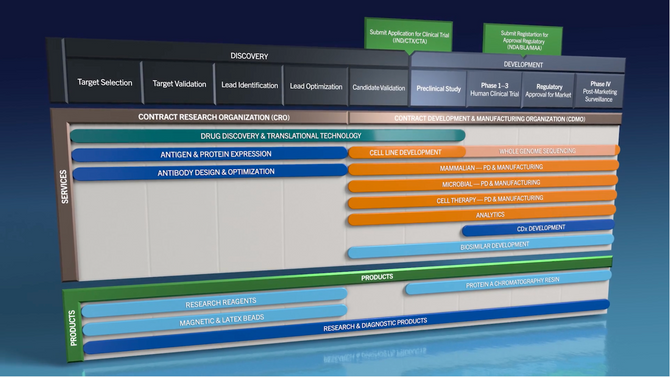 Animated Discovery Pipeline
